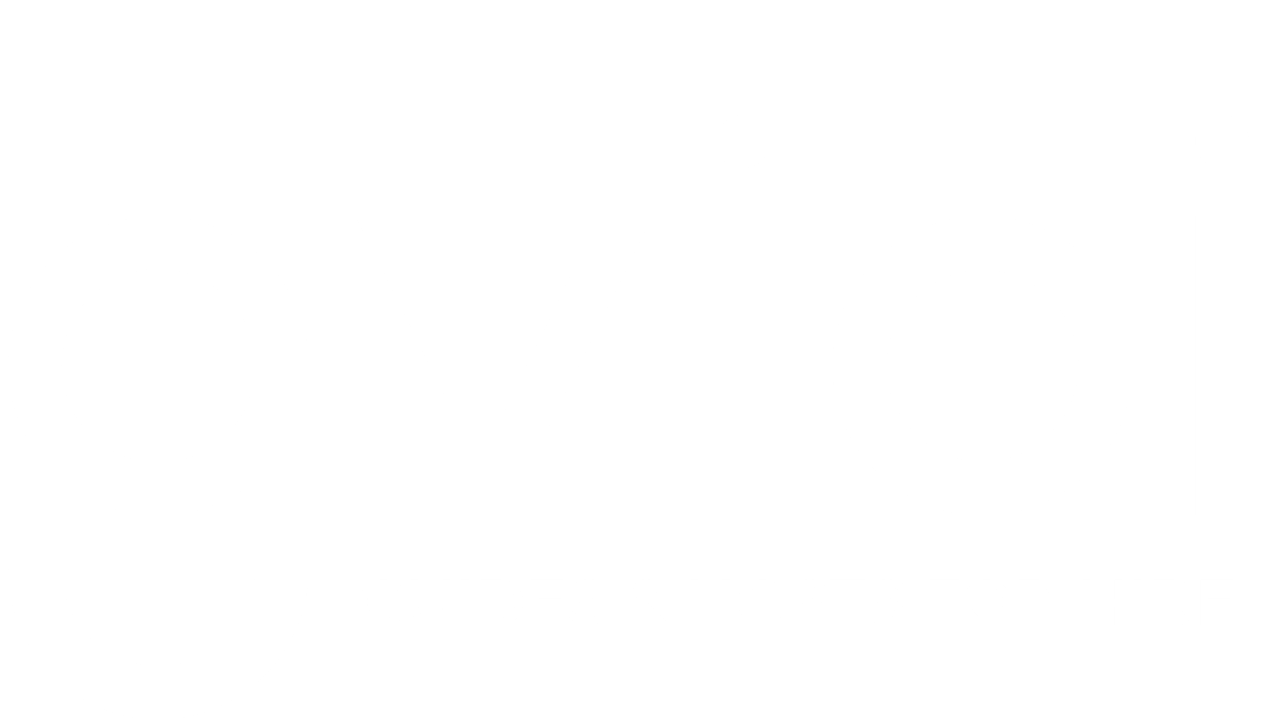 gvidi logo
